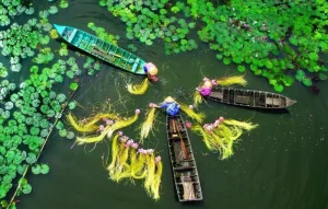 Khu bảo tồn đất ngập nước Láng Sen
