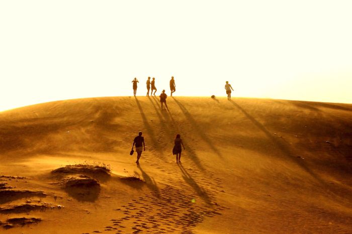 Tour Mũi Né từ Nha Trang 1 ngày