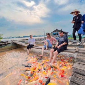 Tour Mỹ Tho - Cần Thơ - Cồn Sơn