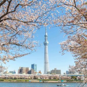 Tour Nhật Bản từ Sài Gòn