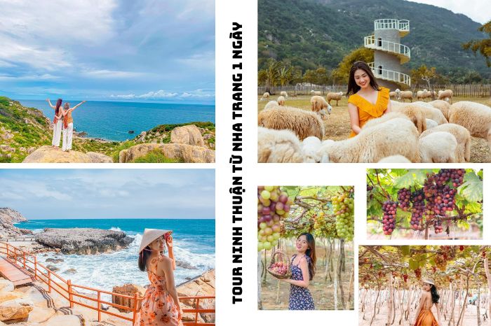 Tour Ninh Thuận từ Nha Trang