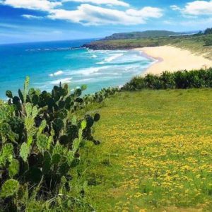 Tour Phú Yên từ Nha Trang