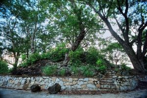 Núi Đất Kiến Tường