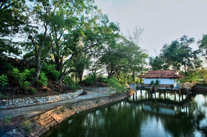 Núi Đất Kiến Tường