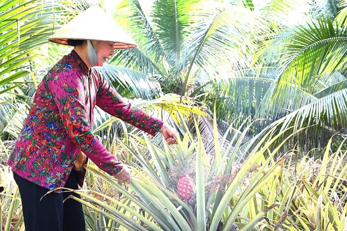 Vườn Khóm Bến Lức